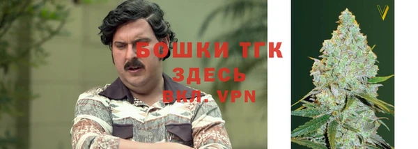 PSILOCYBIN Абдулино