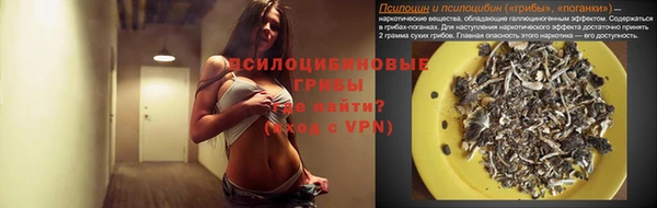 PSILOCYBIN Абдулино