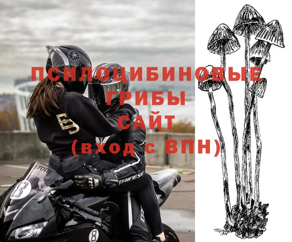mix Абаза