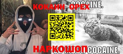 кокс Гатчина