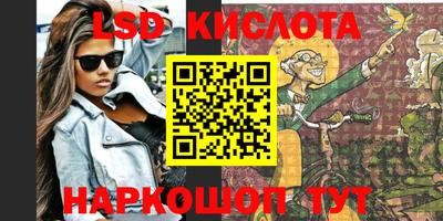 кокс Гатчина