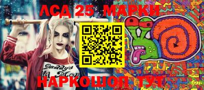 кокс Гатчина