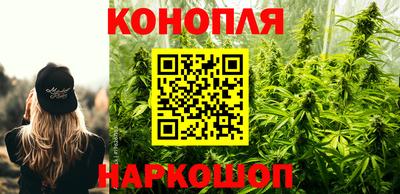 дживик Гай