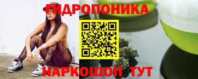 дживик Гай