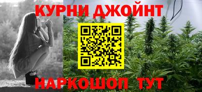 дживик Гай