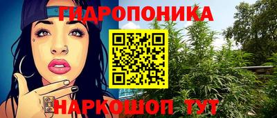 дживик Гай