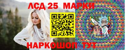 кокс Гатчина