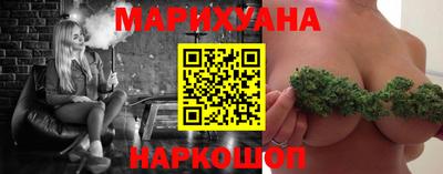 кокс Гатчина
