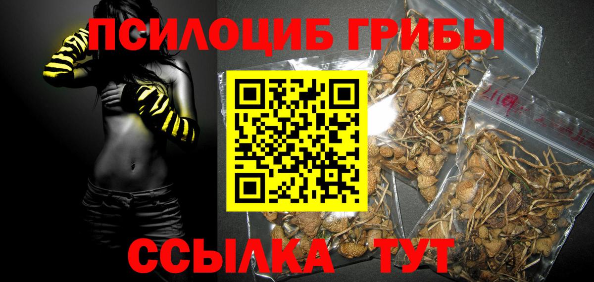 Меф   A-PVP СК кристаллы  Вход с VPN  Бошки Шишки  Гашиш  Лангепас  ГАШ  МДМА 