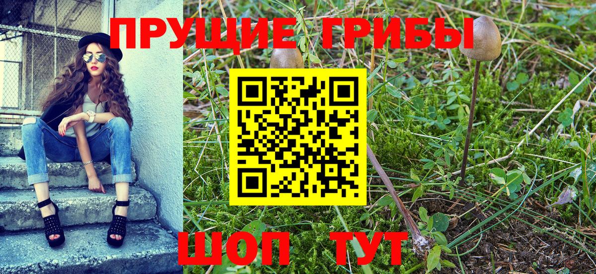 Псилоцибиновые грибы Magic Shrooms  Псилоцибиновые грибы MAGIC MUSHROOMS  Вход с VPN  Лангепас 